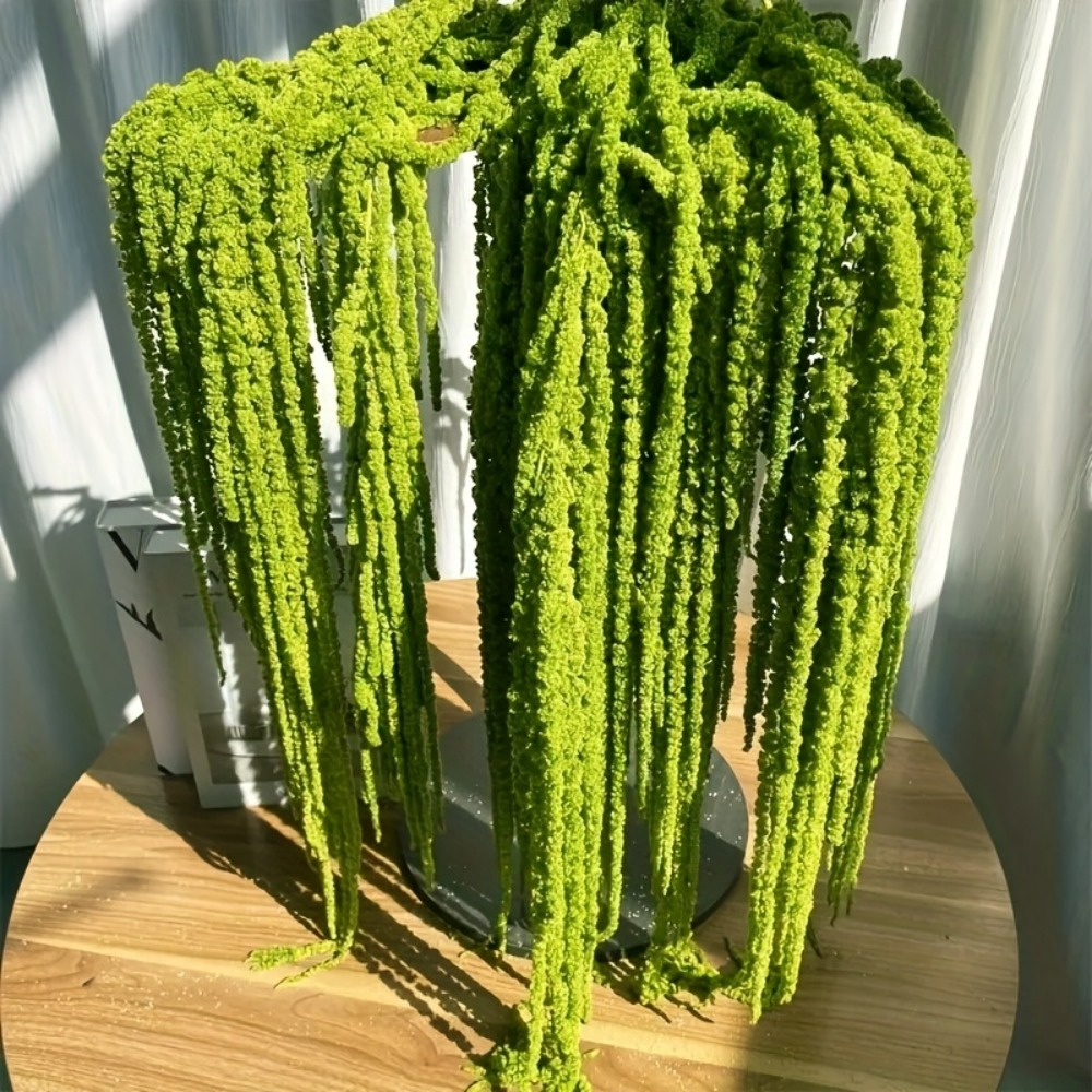 4-teiliges Set Künstliche Amar – Preserved Moss Sheet Bewertung und Preis