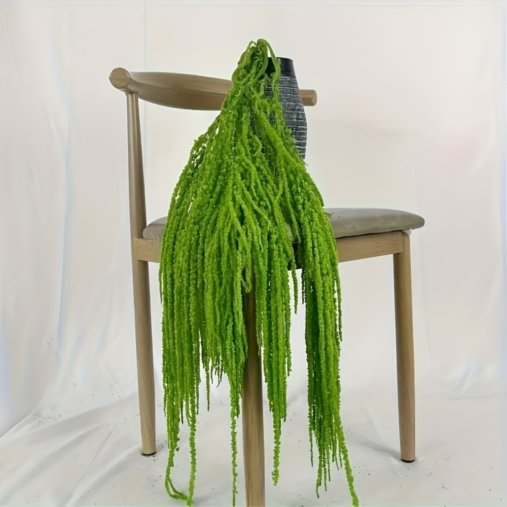 4-teiliges Set Künstliche Amar – Preserved Moss Sheet Bewertung und Preis
