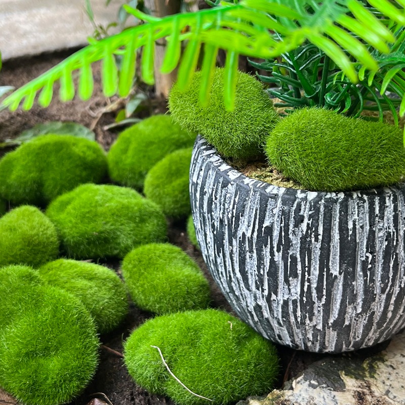 100/5 Stück Künstliche Moosste – Preserved Moss Sheet Bewertung und Preis