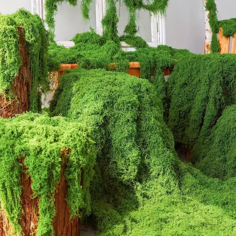Realistische künstliche Moosra – Preserved Moss Sheet Bewertung und Preis