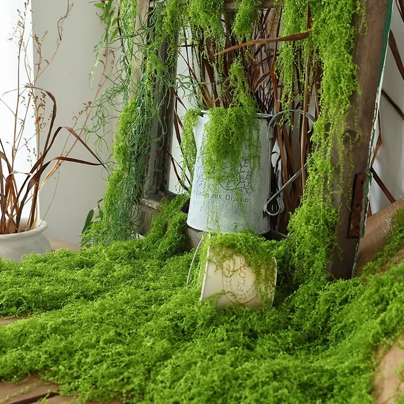 Realistische künstliche Moosra – Preserved Moss Sheet Bewertung und Preis