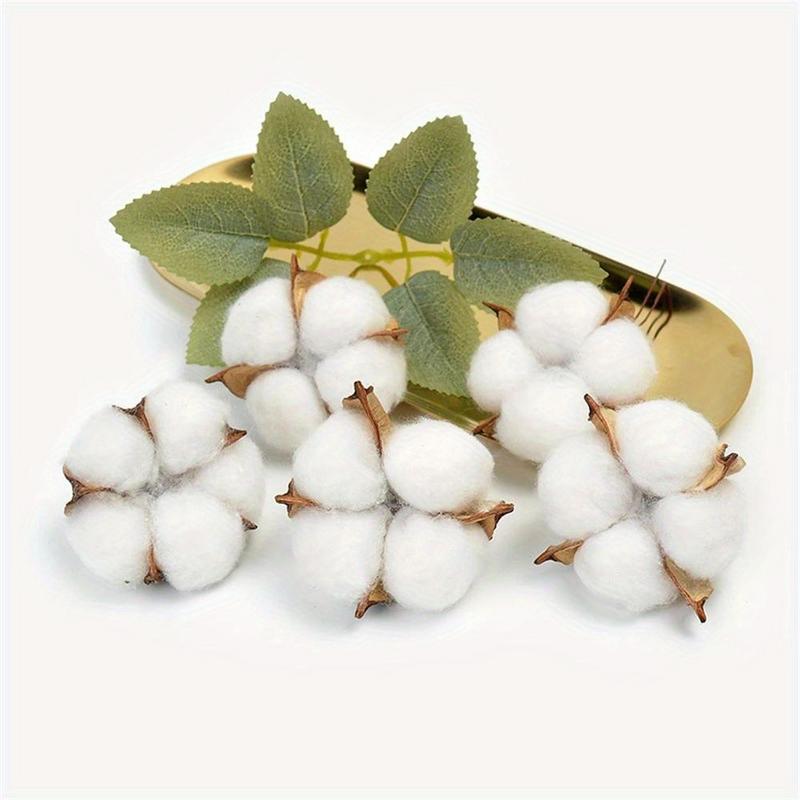 10 Stück Weiße Baumwolle Flori – Florist Wreath Supply Bewertung und Preis