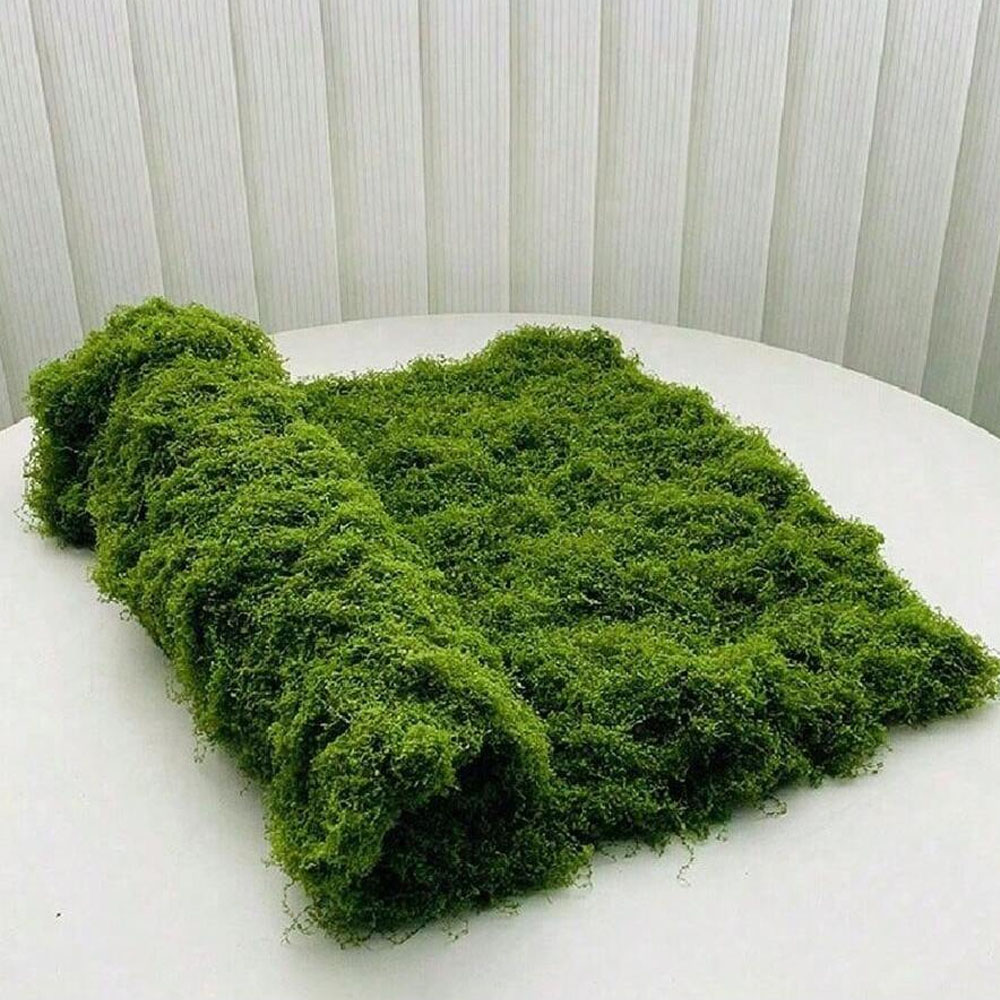 1*1m Gefälschte Moos DIY Handw – Preserved Moss Sheet Bewertung und Preis